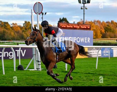 Leicester, Großbritannien, 28.10.2024, Marching Mac Ridden by Grace McEntee gewinnt 4,25 auf Leicester Racecourse, Leicester Picture von Paul Blake/Alamy Sports News Stockfoto