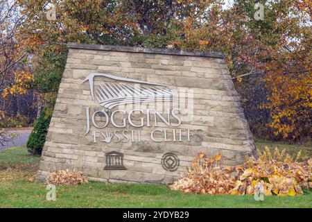 Die Joggins Fossil Cliffs befinden sich in Nova Scotia am Ostufer der Chignecto Bay, am nördlichen Arm der Bay of Fundy. Ca. 30 Stockfoto