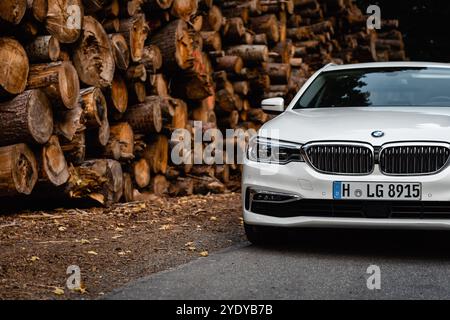 White BMW 5er Touring in der Nähe von Baumstämmen. Blick auf die rechte Ecke, modernes Executive-Auto, das in der Nähe eines großen Stapels von Holzstämmen in einem Wald geparkt ist Stockfoto