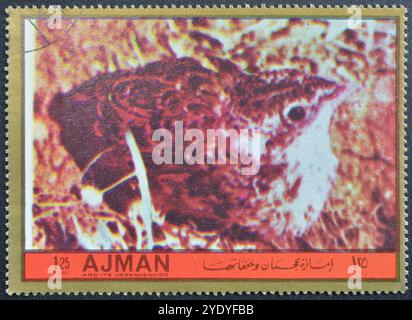 Gestempelte Briefmarke von Ajman, die Bird zeigt, um 1972. Stockfoto