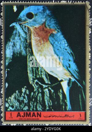 Gestempelte Briefmarke von Ajman, die Blue Bird zeigt, um 1972. Stockfoto