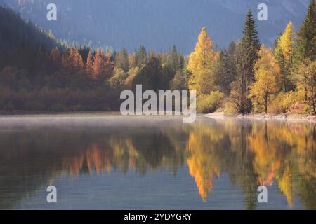 Herbstfarben spiegeln sich im ruhigen Wasser des Landro Dürrensees in den italienischen Dolomiten, Südtirol, unter sanftem Morgenlicht. Stockfoto