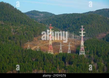 Hochspannungsmasten mitten im Wald Stockfoto