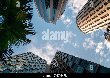 Von unten auf hohe Gebäude mit blauem Himmel und Palmen Stockfoto