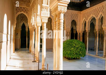 Alhambra Palast, Granada, Spanien. Das Sonnenlicht beleuchtet die aufwändig geschnitzten Säulen und Bögen eines Hofes in der alhambra, ein Zeugnis für Moo Stockfoto