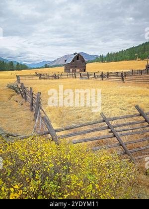 Eine alte Scheune steht auf einem Feld, eingerahmt hinter Bäumen und Sträuchern in der Nähe von Ellensburg, Washington. Stockfoto