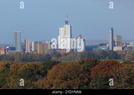 Blick über Baumkronen vom Temple Newsam in Richtung Leeds City Centre, West Yorkshire, UK Stockfoto