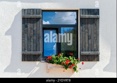 Leuchtend rote Blumen blühen in einem hölzernen Fensterkasten unter einem rustikalen, verschlossenen Fenster. Stockfoto