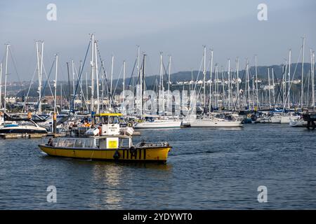 Eine kleine Passagierfähre fährt an Segelyachten vorbei, die im Hafen von Coxside neben Plymouth's Sutton Harbour in Devon, England, vor Anker liegen. Stockfoto