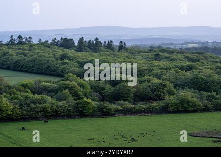 Der Caradon Hill-Sender wird bei Dämmerung auf dem Bodmin Moor in Cornwall beleuchtet, von Brent Tor in West Devon aus gesehen. Stockfoto