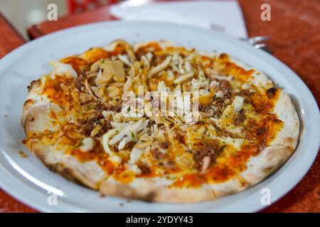 Eine köstlich aussehende Pizza mit dünner Kruste, garniert mit Käse, Tomatensauce und Kräutern, in sechs Scheiben auf einem weißen Teller geschnitten. Seine leuchtenden Farben Stockfoto