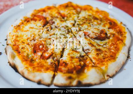 Eine köstlich aussehende Pizza mit dünner Kruste, garniert mit Käse, Tomatensauce und Kräutern, in sechs Scheiben auf einem weißen Teller geschnitten. Seine leuchtenden Farben Stockfoto