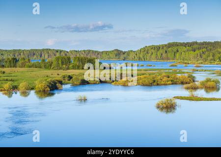 Landschaftsfotografie mit den Küsten des Flusses Sorot, aufgenommen an einem sonnigen Sommertag. Russland Stockfoto