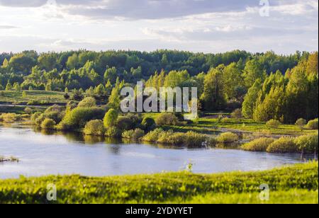 Ländliche russische Landschaftsfotografie mit den Flussküsten von Sorot, aufgenommen an einem sonnigen Sommertag Stockfoto