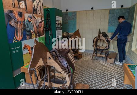 Besucher des National Horseracing Museum in Newmarket, Suffolk, England, Großbritannien Stockfoto