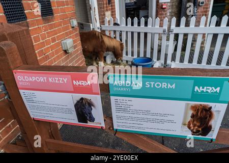 Blick auf das National Horseracing Museum in Newmarket, Suffolk, England, Großbritannien Stockfoto