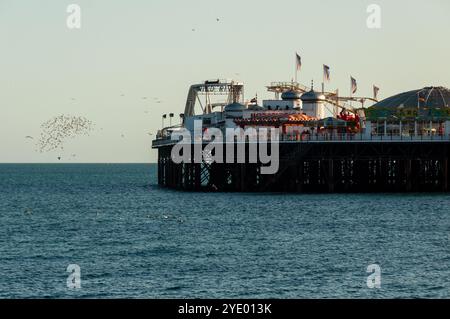 Starlinge bilden ein Murmeln neben Brighton's Palace Pier an der Küste des Ärmelkanals. Stockfoto