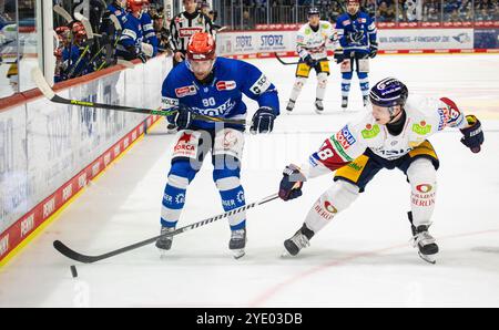 Villingen-Schwenningen, 29. September 2024: #18 Jonas Müller (Berlin) nimmt den Puck von #90 Tylor Spink (Schwenningen) in einem Duell ab. (Foto von Stockfoto