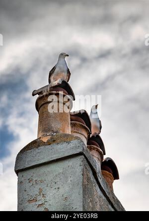 Broadstairs, eine Küstenstadt im Osten von Kent, England. Stockfoto