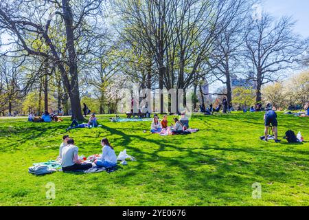 Menschen genießen einen sonnigen Tag im Park, entspannen sich mit Freunden auf dem Gras, umgeben von Bäumen im Frühjahr. New York. USA. Stockfoto