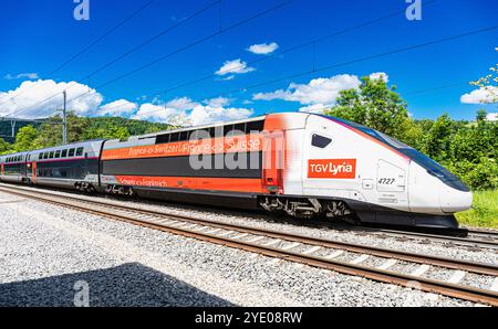Böztal, Schweiz, 19. Mai 2024: Zwischen Basel und Zürich verkehrt ein TGV-Zug. Der Zug bietet die tägliche Verbindung zwischen den Schweizern Stockfoto