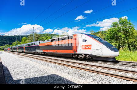 Böztal, Schweiz, 19. Mai 2024: Zwischen Basel und Zürich verkehrt ein TGV-Zug. Der Zug bietet die tägliche Verbindung zwischen den Schweizern Stockfoto
