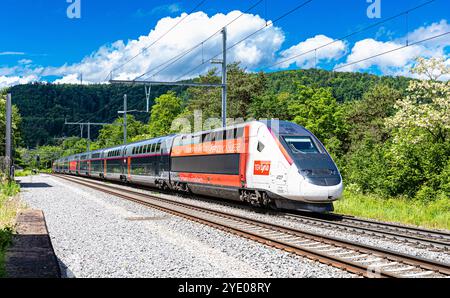 Böztal, Schweiz, 19. Mai 2024: Zwischen Basel und Zürich verkehrt ein TGV-Zug. Der Zug bietet die tägliche Verbindung zwischen den Schweizern Stockfoto