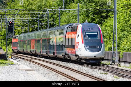 Böztal, Schweiz, 19. Mai 2024: Zwischen Basel und Zürich verkehrt ein TGV-Zug. Der Zug bietet die tägliche Verbindung zwischen den Schweizern Stockfoto