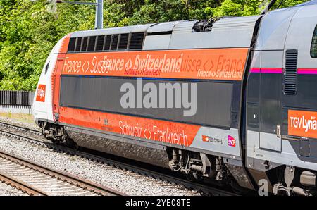 Böztal, Schweiz, 19. Mai 2024: Zwischen Basel und Zürich verkehrt ein TGV-Zug. Der Zug bietet die tägliche Verbindung zwischen den Schweizern Stockfoto