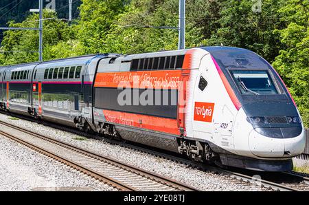Böztal, Schweiz, 19. Mai 2024: Zwischen Basel und Zürich verkehrt ein TGV-Zug. Der Zug bietet die tägliche Verbindung zwischen den Schweizern Stockfoto