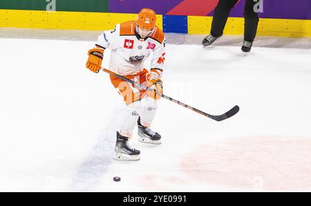 Zürich, Schweiz, 8. Oktober 2024: #63 Mikko Juusola, Stürmer Sheffield Steelers. (Foto: Andreas Haas/dieBildmanufaktur) Stockfoto