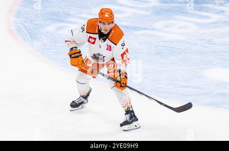 Zürich, 8. Oktober 2024: #58 Dominic Cormier, Verteidiger Sheffield Steelers. (Foto: Andreas Haas/dieBildmanufaktur) Stockfoto