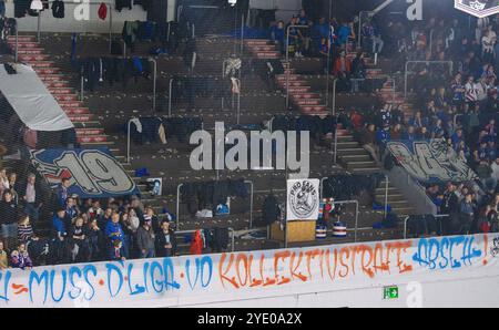 Kloten, Schweiz, 18. Oktober 2024: Zahlreiche Fans des EHC Kloten und auch die ZSC Lions verließen die Stehplätze im ersten Drittel. Sie Stockfoto