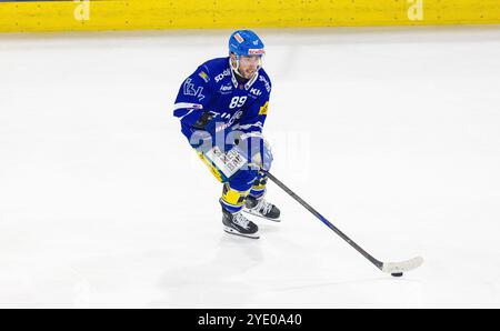 Kloten, Schweiz, 18. Oktober 2024: #89 Daniel Audette, Stürmer EHC Kloten mit dem Puck. (Foto: Andreas Haas/dieBildmanufaktur) Stockfoto