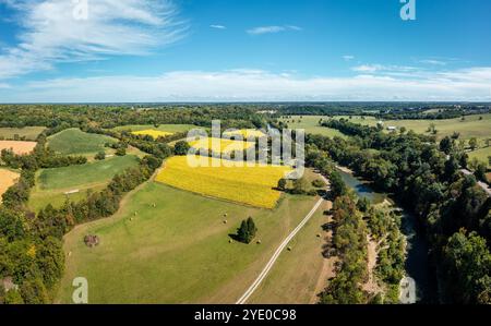 Panoramablick auf Tabakfelder und Elkhorn Creek im Zentrum von Kentucky Stockfoto