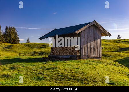 Ein Holzschuppen liegt auf üppig grünen Hügeln, umgeben von Natur. Die Sonne scheint hell am klaren blauen Himmel und schafft eine ruhige Atmosphäre im Grafen Stockfoto