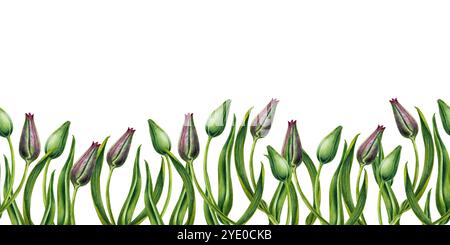 Frische grüne Knospen rosa Tulpen. Nahtloses Banner von Aquarellblumen isoliert auf weißem Hintergrund. Illustrations-Clipart für Muttertag, Valentinstag Stockfoto