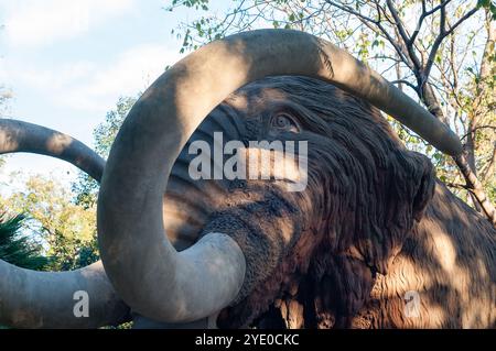 Detail der Mammut-Statue im Parc de la Ciutadella, die Absicht war, den gesamten Park mit Steinfiguren ausgestorbener Tiere auf einem echten s zu dekorieren Stockfoto