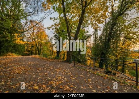 Burgpark mit großen Bäumen in der Nähe des Baches Zlaty und Wasserfall am Herbstabend in Opocno Stockfoto