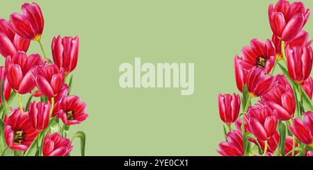 Leuchtend rosa Tulpen. Horizontaler Rahmen von Aquarellblumen isoliert auf grünem Hintergrund. Illustrations-Clipart für Muttertag, Frauentag, Valenti Stockfoto