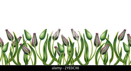 Frische grüne Knospen rosa Tulpen. Nahtloses Banner von Aquarellblumen isoliert auf weißem Hintergrund. Illustrations-Clipart für Muttertag, Valentinstag Stockfoto