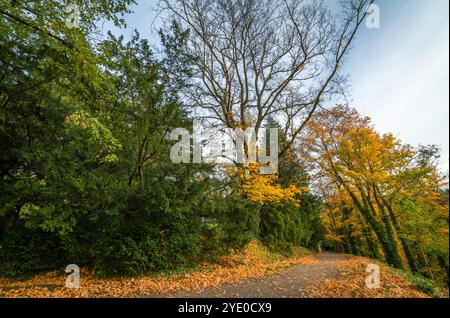 Burgpark mit großen Bäumen in der Nähe des Baches Zlaty und Wasserfall am Herbstabend in Opocno Stockfoto