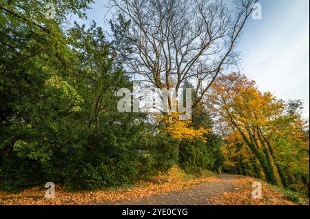 Burgpark mit großen Bäumen in der Nähe des Baches Zlaty und Wasserfall am Herbstabend in Opocno Stockfoto