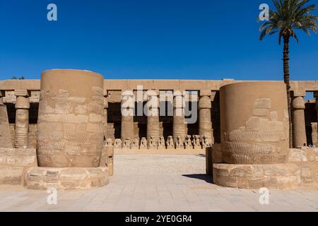 RAM-Kopfsphinxe, großer Vorplatz, Tempelkomplex von Karnak, Ägypten. Stockfoto