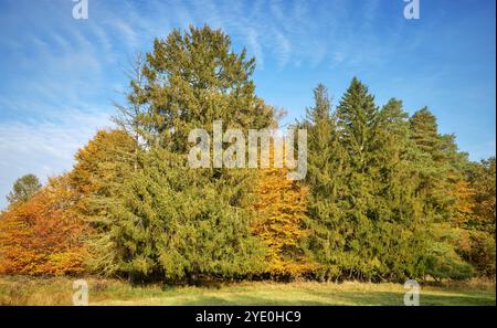 Herbstlandschaft an einem sonnigen Tag. Stockfoto