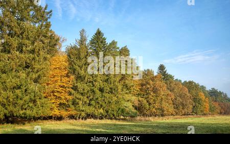 Herbstlandschaft an einem sonnigen Tag. Stockfoto