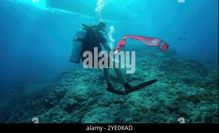 Taucher erkunden ein lebendiges Korallenriff in bali mit einer Boje zur Oberflächenmarkierung für Sicherheit und Sichtbarkeit während der Navigation durch die Unterwasserwelt Stockfoto