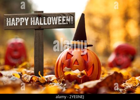 28. Oktober 2024: Halloween-Grüße, Happy Halloween Kürbis mit Hexenhut und einem Schild mit der Inschrift: Happy Halloween symbolisches Bild amerikanischer Volksbräuche All Hallows Evening am 31. Oktober. FOTOMONTAGE *** Halloween Halloween Halloween Halloween Halloween Halloween Halloween Halloween Halloween Halloween Halloween Halloween Halloween mit Hexenhut und einem Schild mit Aufschrift: Happy Halloween Symbolbild amerikanischer Volksbrauch alle Heiligtümer Abend am 31. Oktober. FOTOMONTAGE Stockfoto