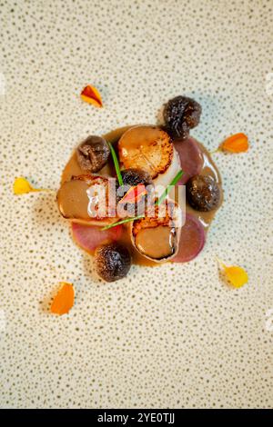 Gebratene Jakobsmuscheln auf gerösteten Radieschen und wilden Pilzköpfen, umgeben von essbaren Blumen Stockfoto