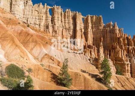 Das Gebäude wurde Wall of Window entlang der Peekaboo Loop im Hauptamphitheater des Bryce Canyon genannt Stockfoto